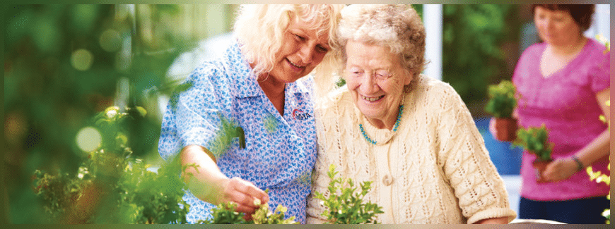 elder care services